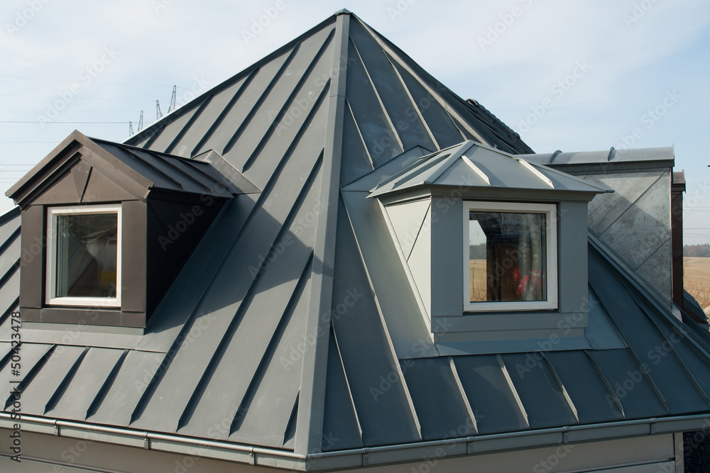 Modern vertical roof windows - obrazy, fototapety, plakaty 