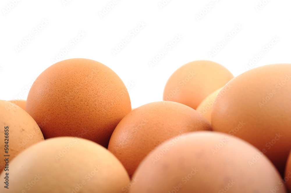 chicken eggs