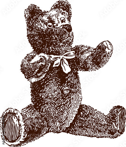teddy
