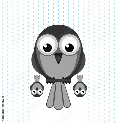 Birds sheltering from the rain using a larger bird