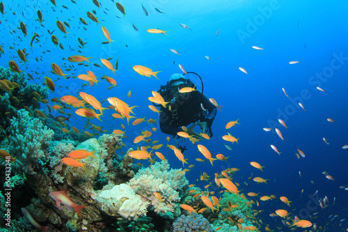 Scuba Diver swims through tropical fish