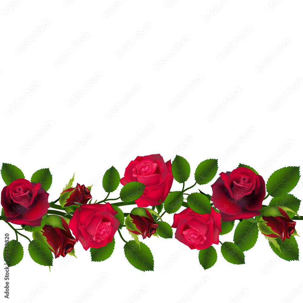 Seamless vector red roses pattern horizontal