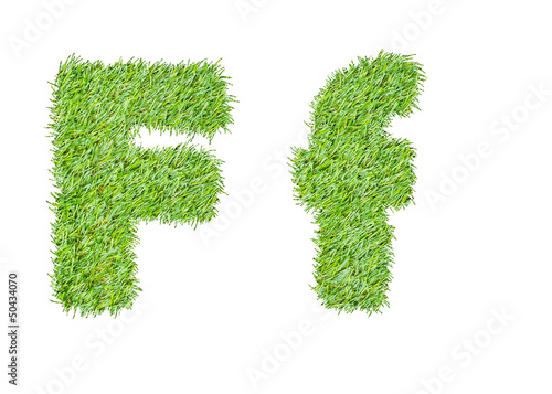 Alphabet from the green grass. isolated on white