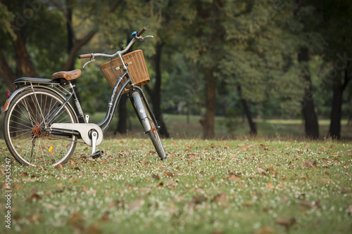 Fototapeta Naklejka Na Ścianę i Meble -  Classic bicycle in the park