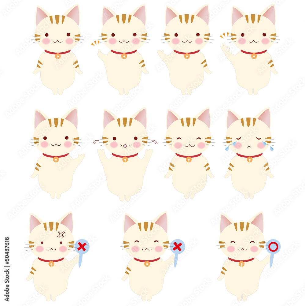 いろんな表情のとら猫　サイン　案内