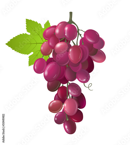 grapes