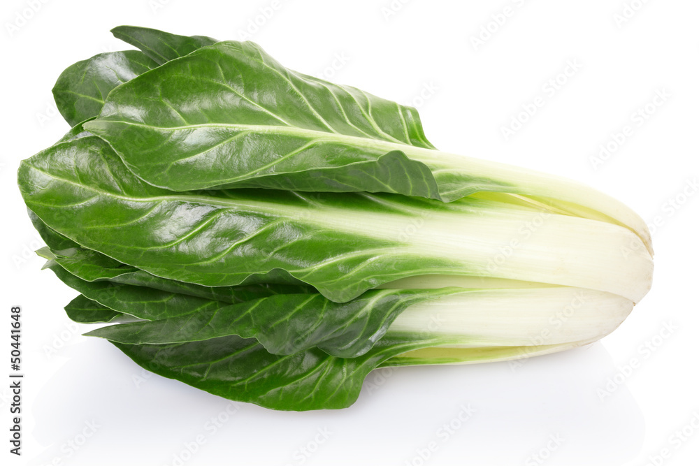 Beet or Beta vulgaris vegetable on white with clipping path Beet or Beta vulgaris vegetable on white with clipping path