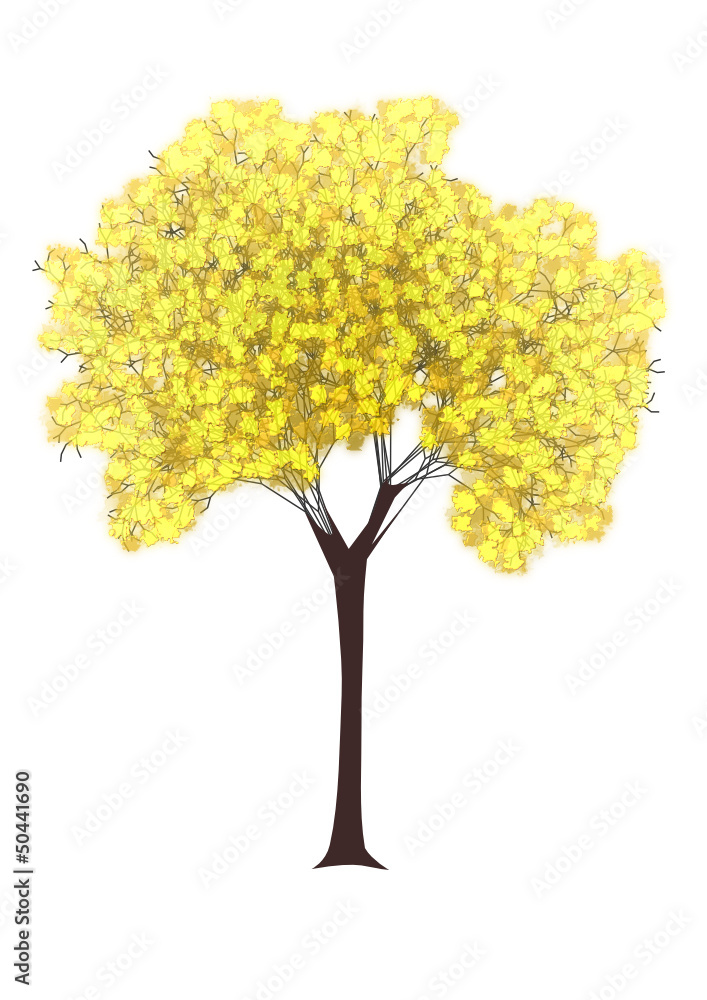 tree tree