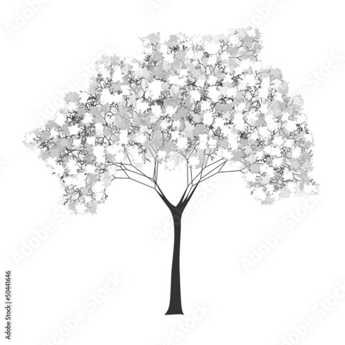 tree