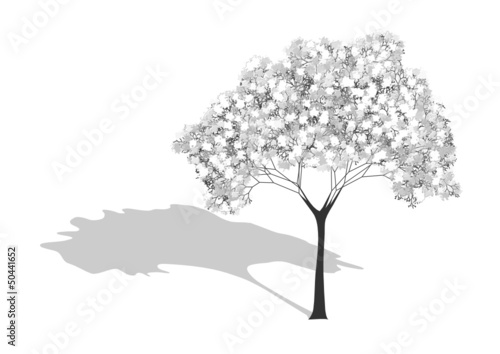 tree