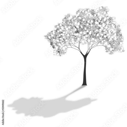 tree