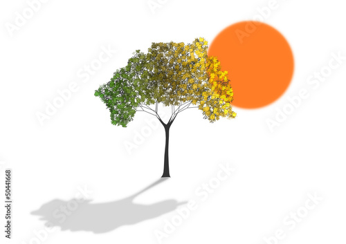 tree