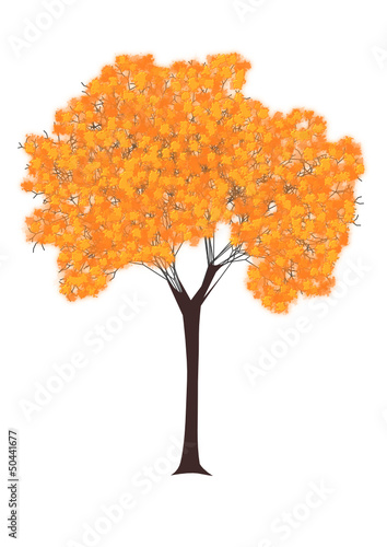 tree