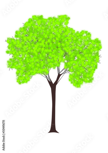 tree
