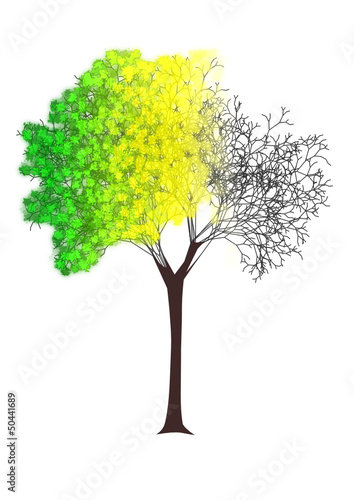 tree