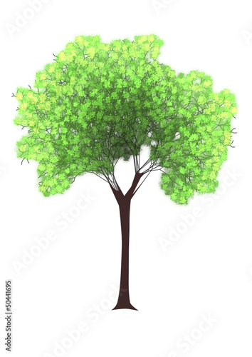 tree