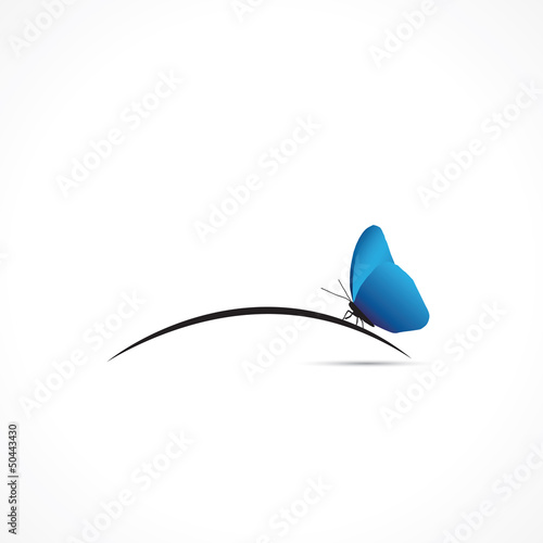 Petit papillon bleu