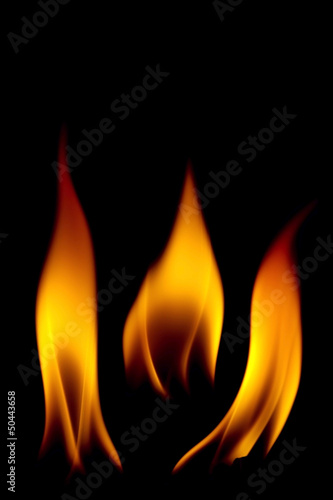 Various styles of fire