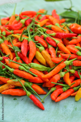 Fresh chilli - red hot peppers