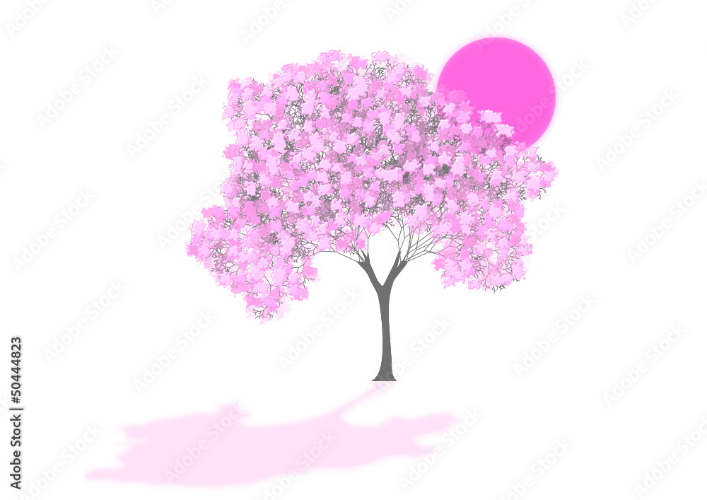 Fototapeta premium tree