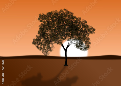 sunset tree