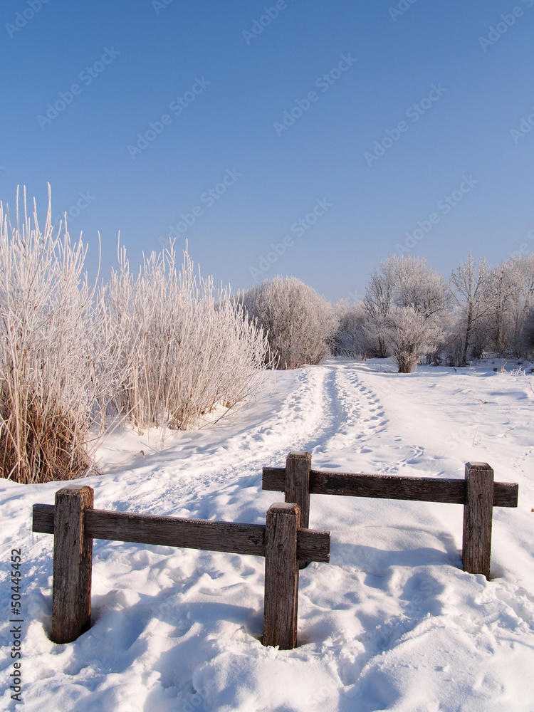 footpath in winter