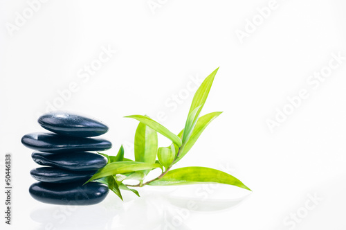 Black balanced zen stones with lucky bamboo