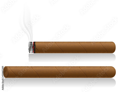 cigars vector illustration