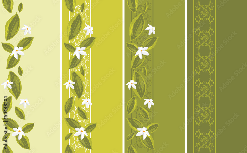 Ornamental borders with white flowers Ornamental borders with white flowers