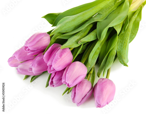 Beautiful bouquet of purple tulips  isolated on white