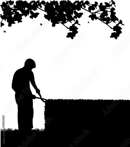 Gardener trimming a hedges with big shears silhouette
