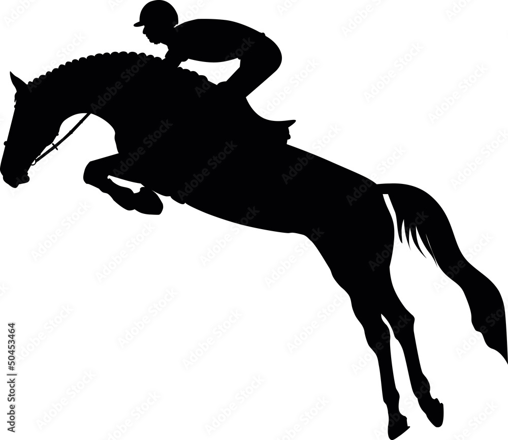 Springreiten Springreiten