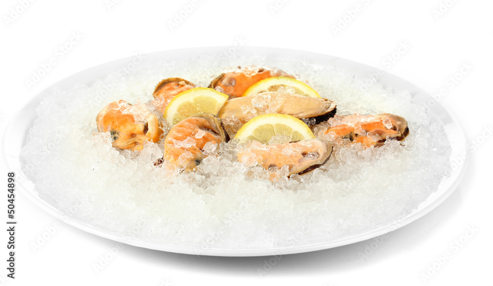 Mussels on ice in plate isolated on white