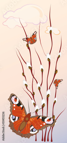 willow and butterflies