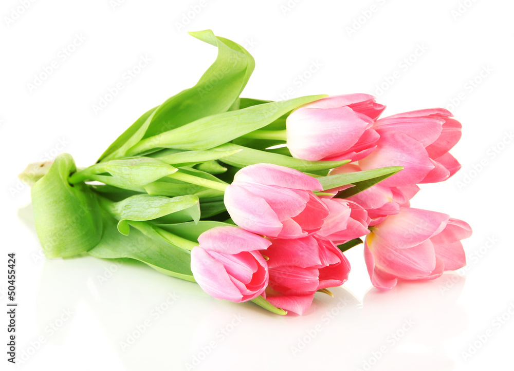 Pink tulips isolated on white