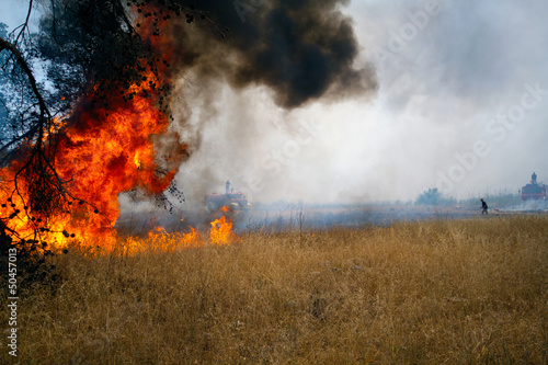 Burning forest © Mediteraneo