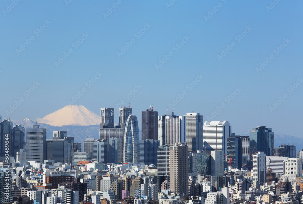 Obraz premium 東京都心から富士山を望む
