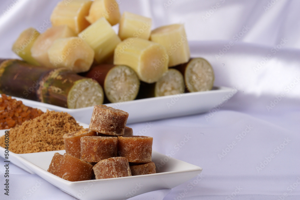 Various kinds of sugar and sugar cane Various kinds of sugar and sugar cane
