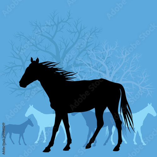 Horses in field vector background