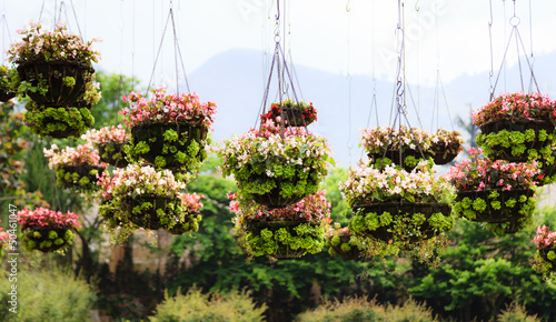 Flowerpots in the park