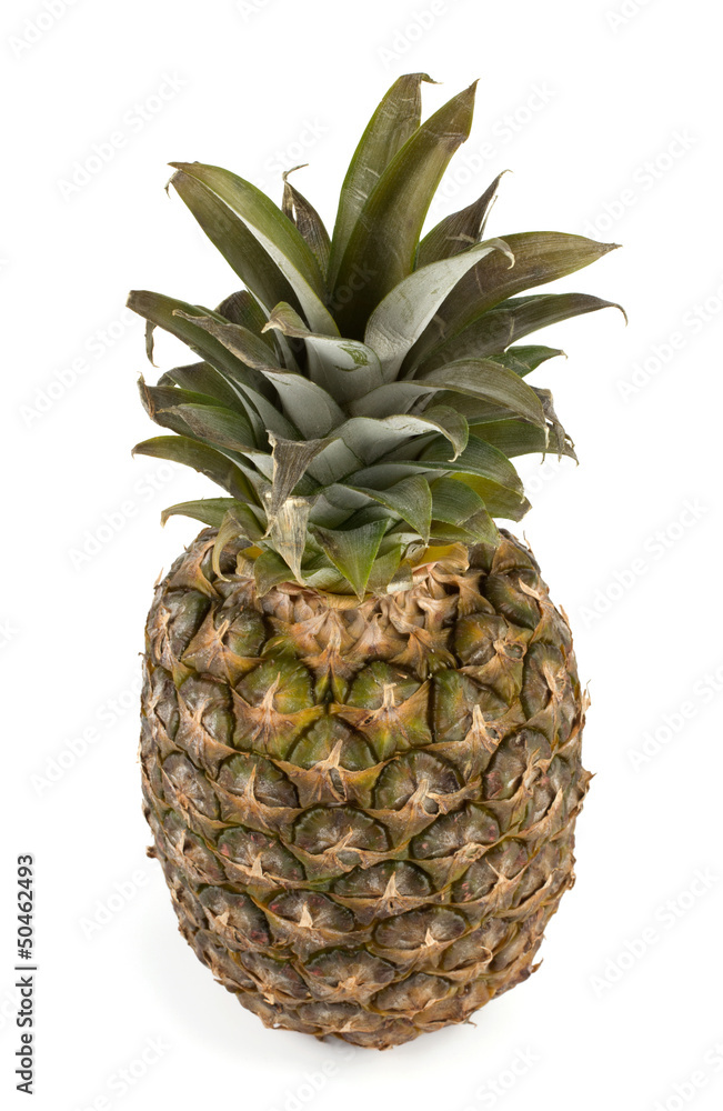 Juicy pineapple and slices isolated on white background Juicy pineapple and slices isolated on white background