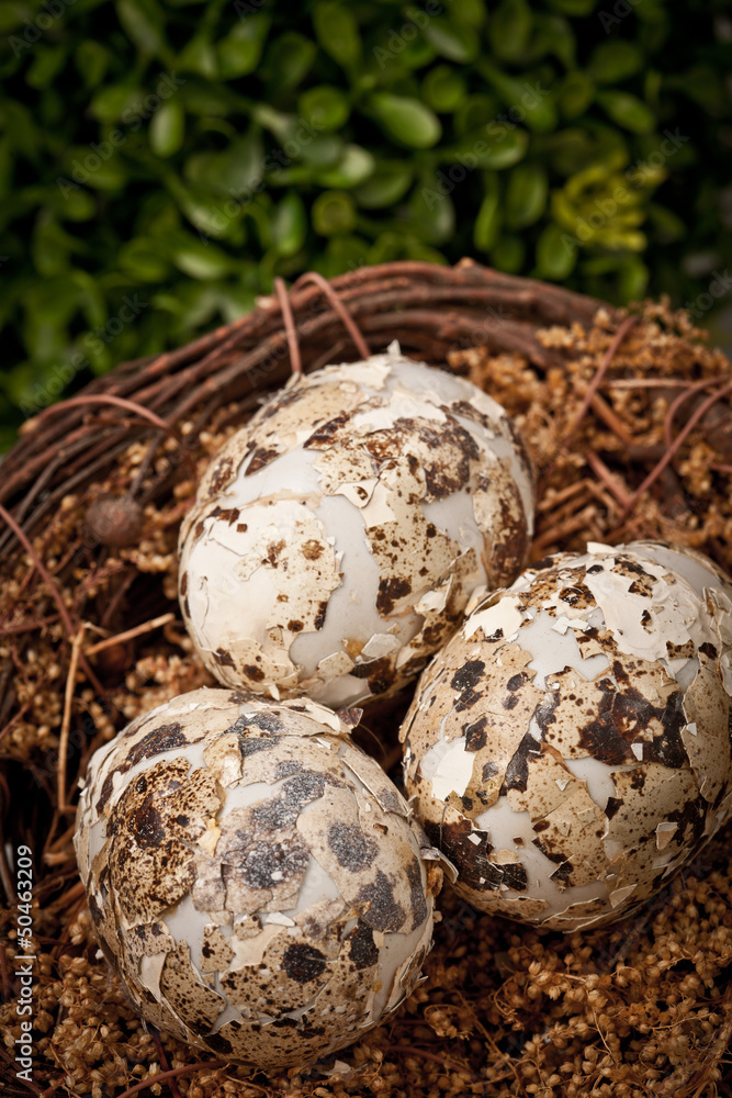 Obraz premium easter