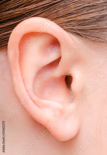 ear of a young woman