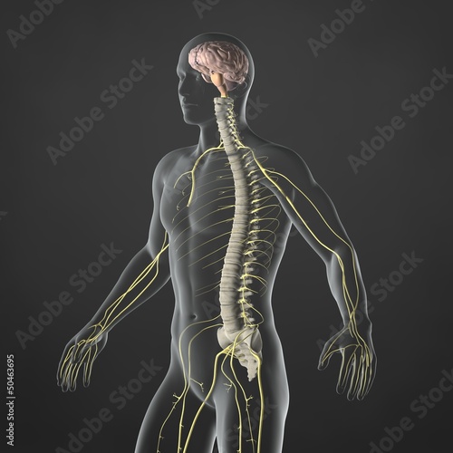 Εκτύπωση καμβά Nervous System