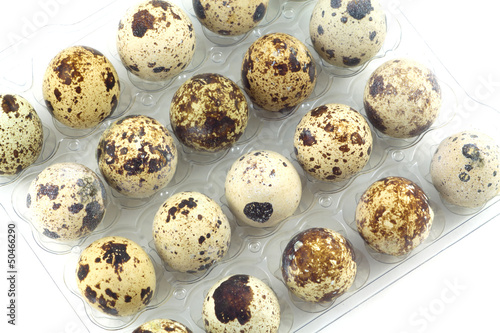 Mottle quail eggs in plastic container isolated diagonal view