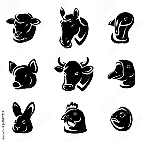 Farm animals set. Vector