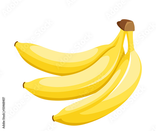 Bunch of bananas isolated on white. Vector illustration.