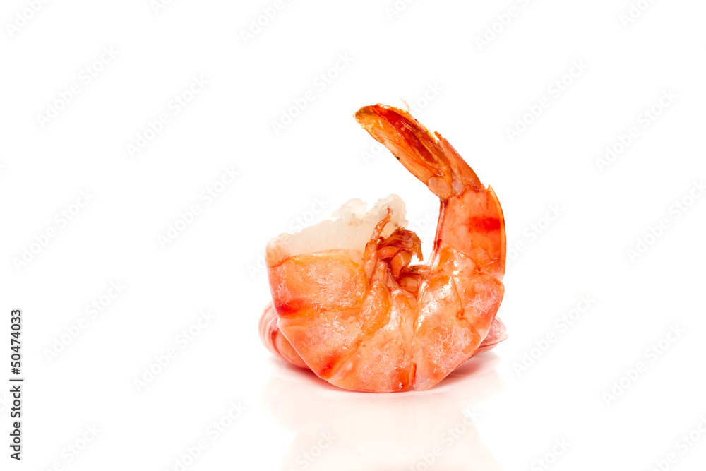 shrimp