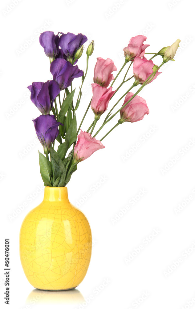 Bouquet of eustoma flowers in vase isolated on white Bouquet of eustoma flowers in vase isolated on white