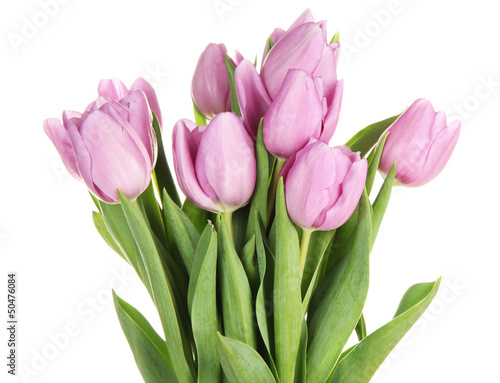 Wallpaper Mural Beautiful bouquet of purple tulips, isolated on white Torontodigital.ca